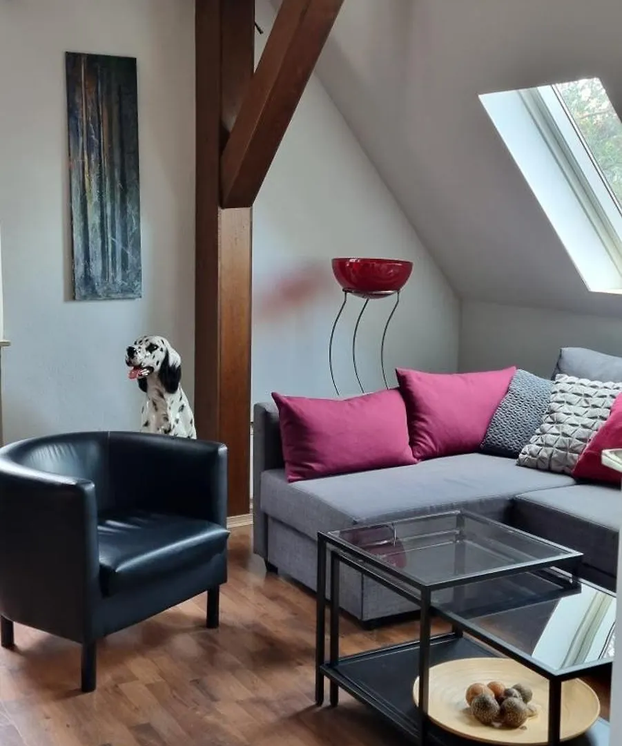 Ferienwohnung Drachenburg Marktbreit Apartment